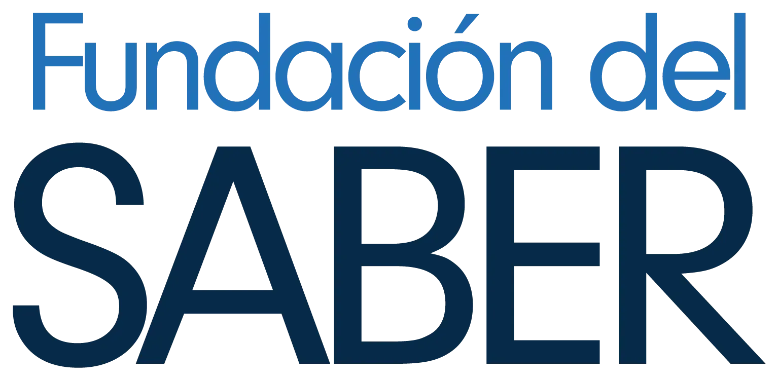 FSD logo